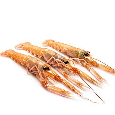 SCAMPI INTERI -Adriatico-