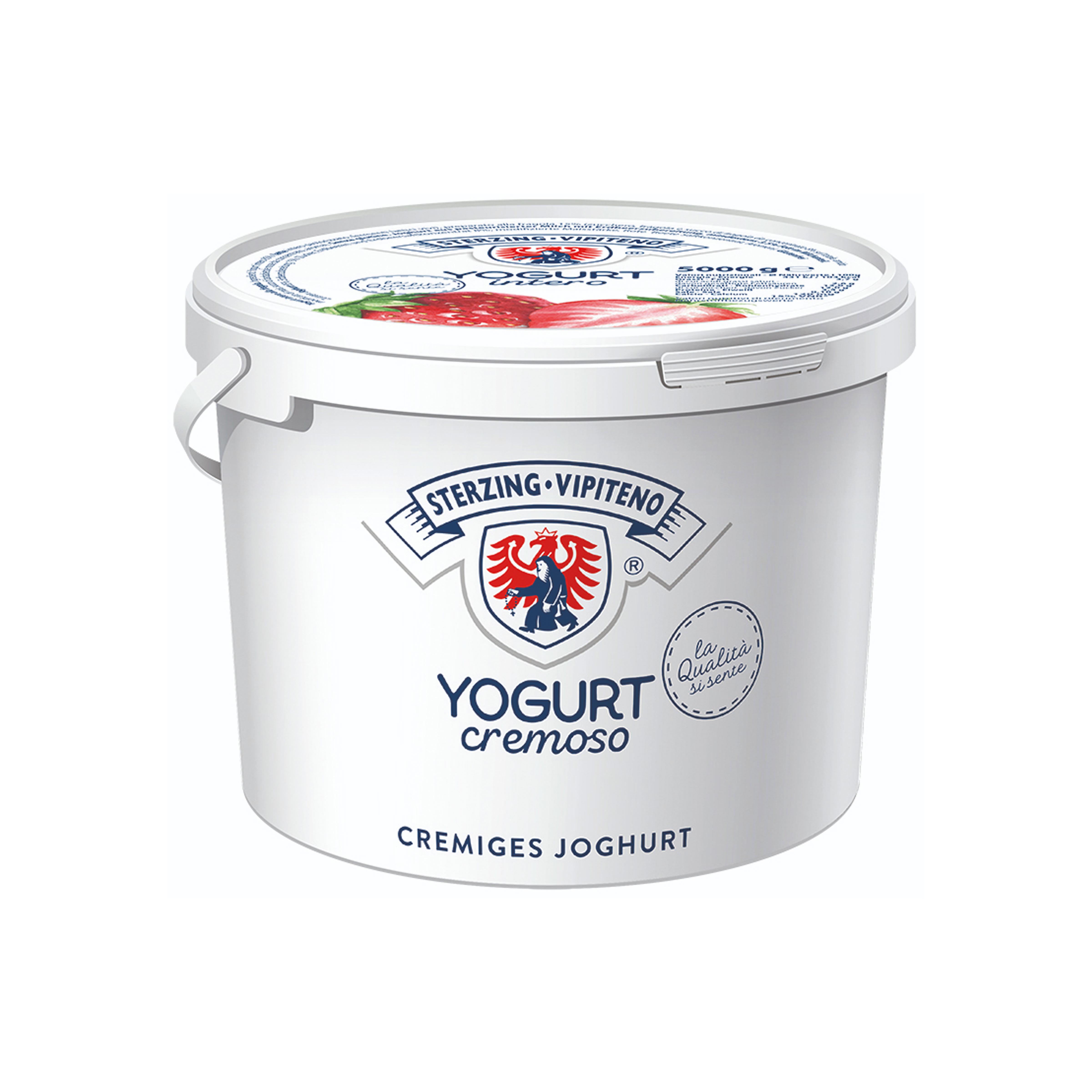 JOGHURT 'STERZINGER' ERDBEERE 5kg