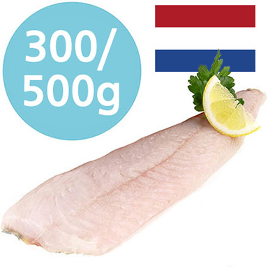 ZANDER FILET 300-500g NIEDERLANDE DECONGELATO