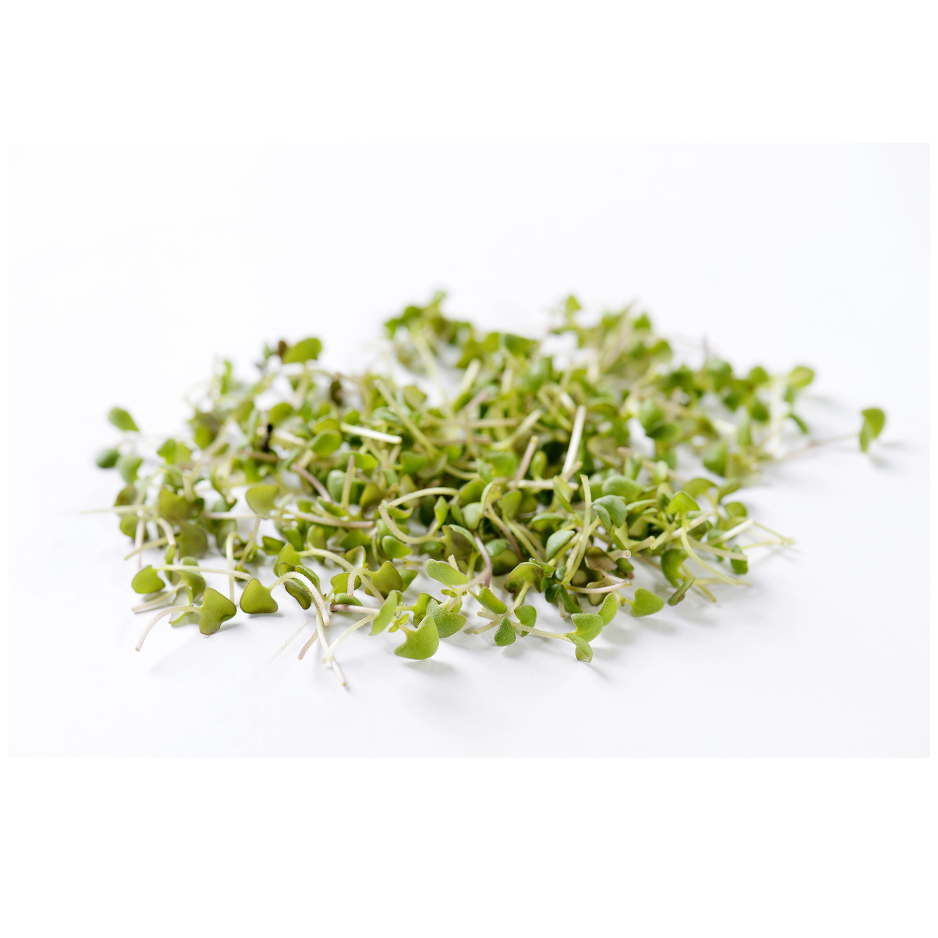 ALPIN HERBS BASILIKUMKRESSE 8x150g