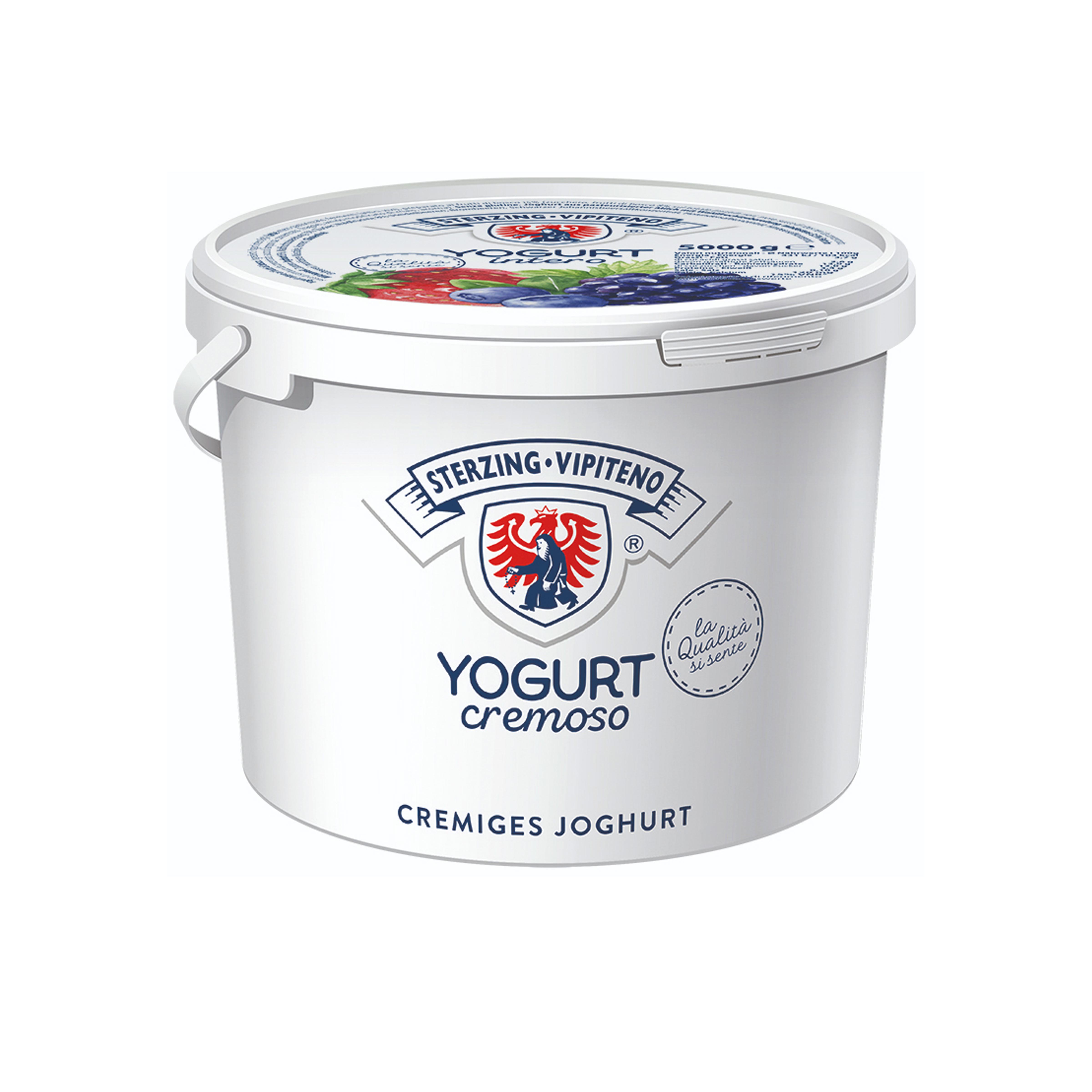 YOGURT 'STERZINGER' FRUTTI DI BOSCO 5kg