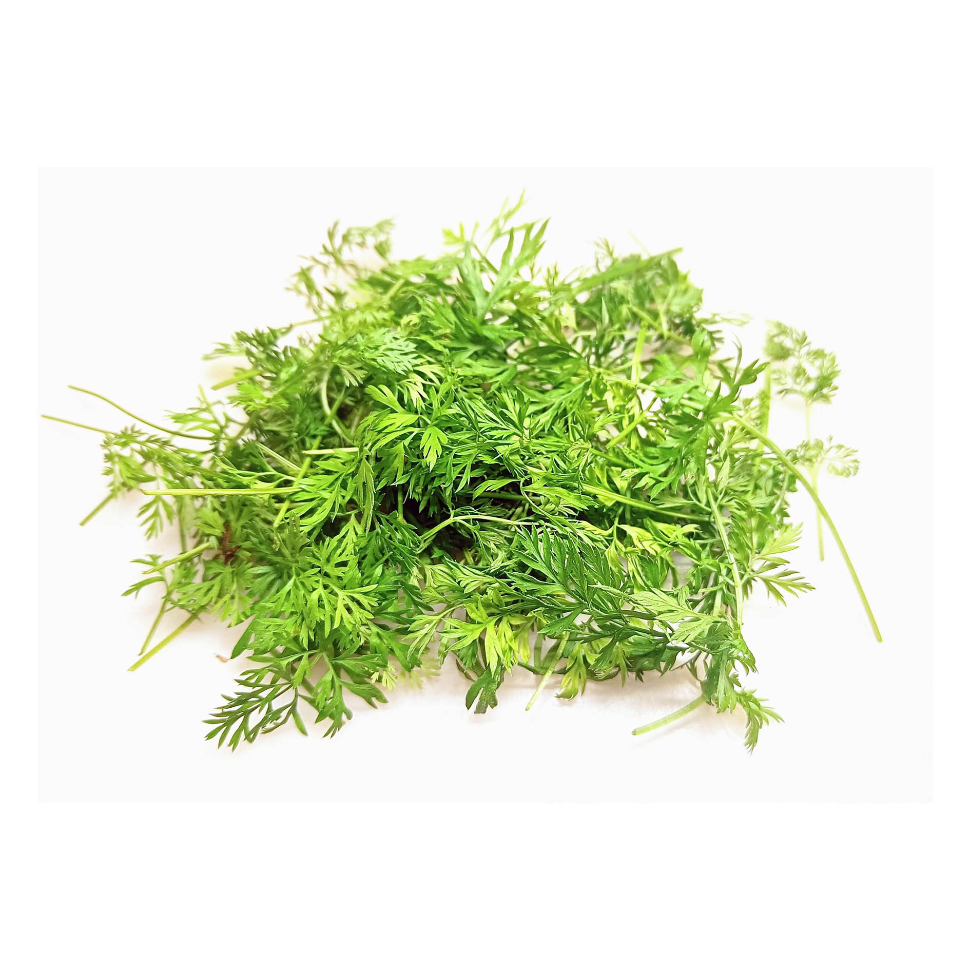 ALPIN HERBS KAROTTENGRÜN 8 BLÄTTER 10g