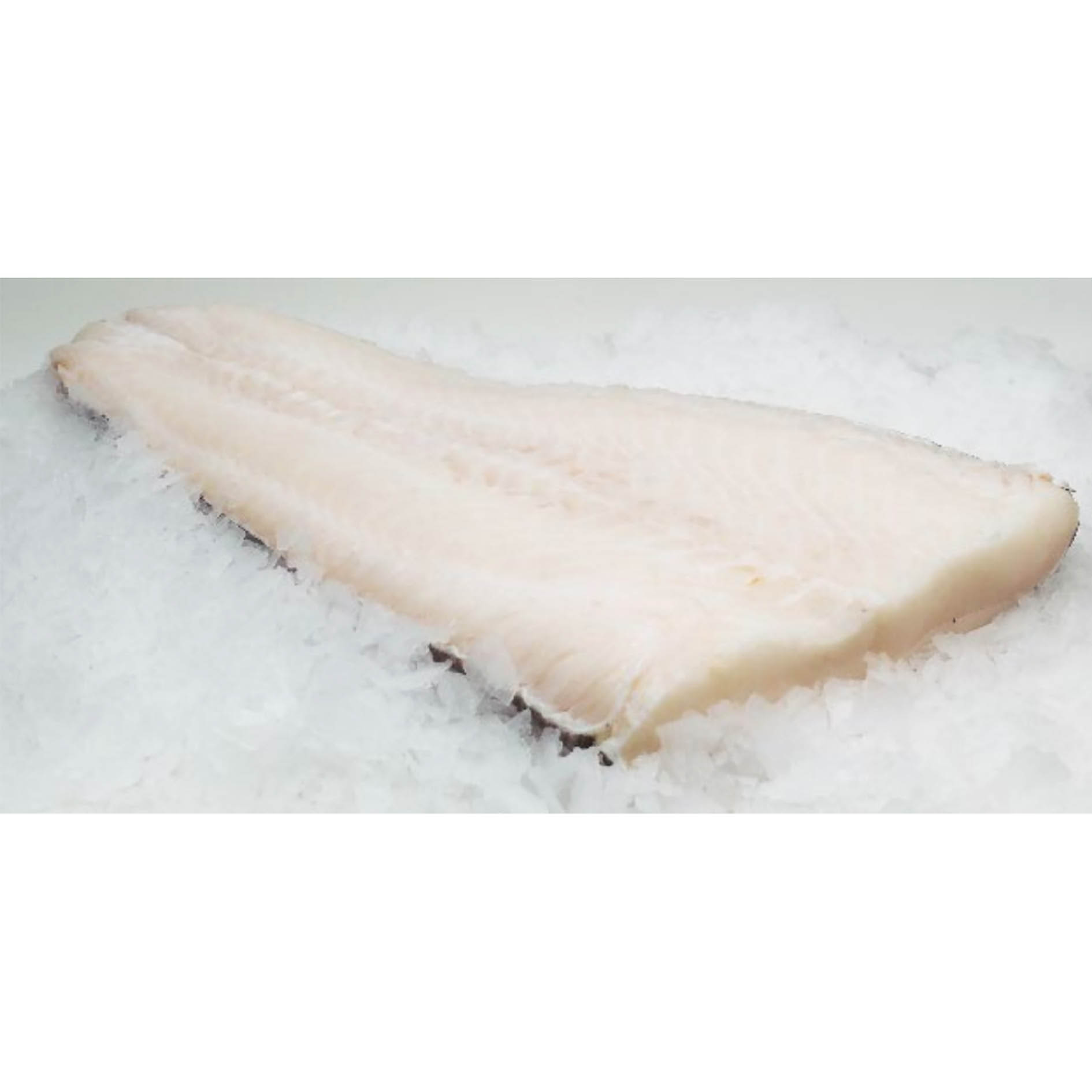 SCHWARZER SEEHECHT (MORO OCEANICO) FILET GEFR.