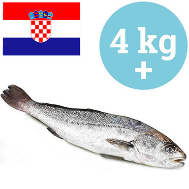 OMBRINA BOCCADORO CROAZIA 4kg+ ALLEVATA