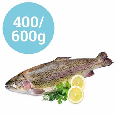 LACHSFORELLE AUSGENOMMEN 400-600g TN