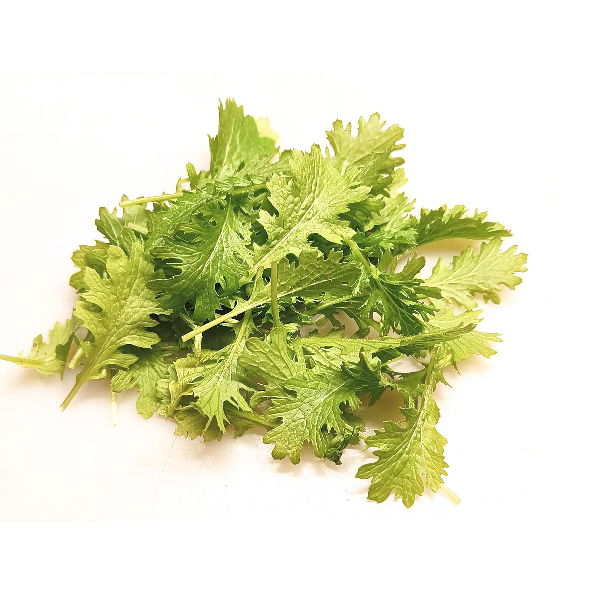 ALPIN HERBS 40 FOGLIE DI WASABINO 10g