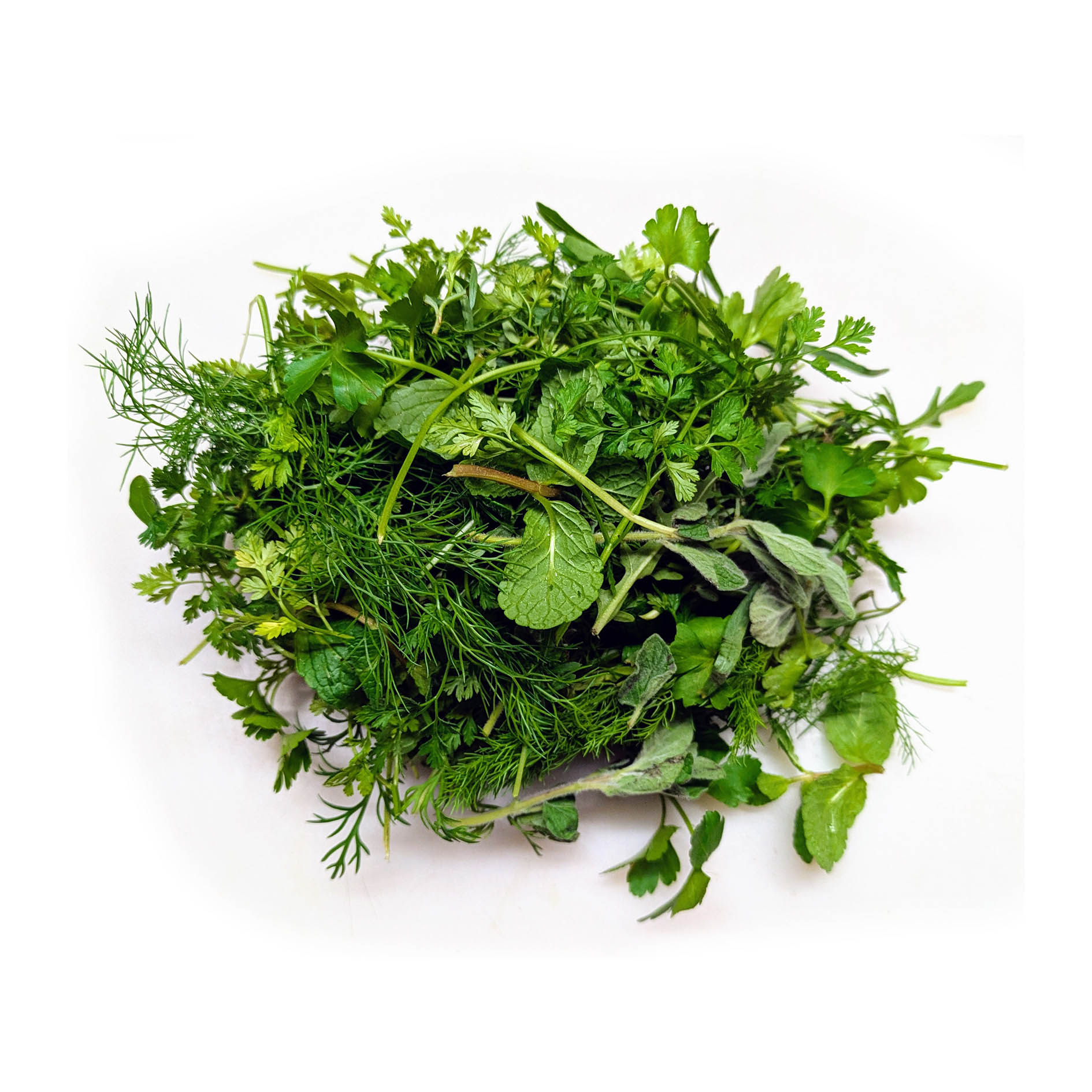 ALPIN HERBS KRÄUTERMIX FÜR PESTO 50g