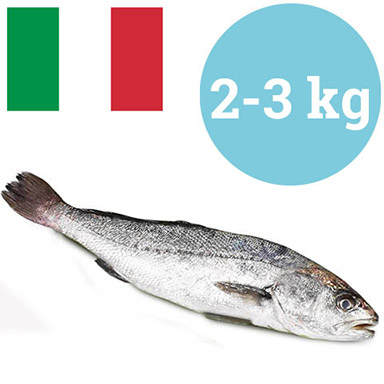 OMBRINA BOCCADORO 2-3kg ALLEVATA ITALIA