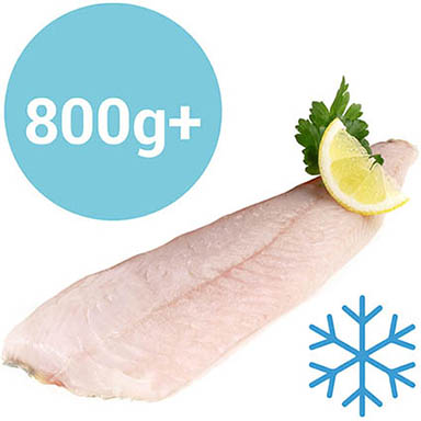 ZANDER FILET MIT HAUT 800g UP NETTOGEWICHT GEFR.