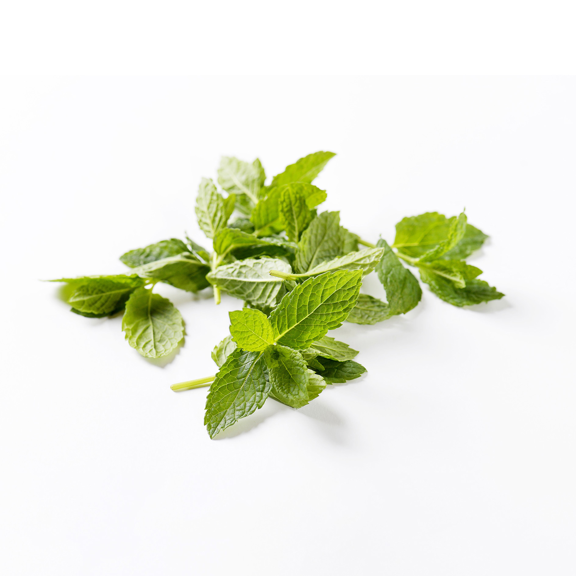 ALPIN HERBS 35 FOGLIE DI MENTA GLACIALE 10g