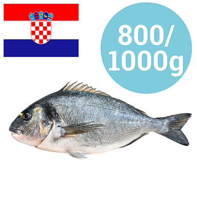 GOLDBRASSE 800-1000g KROATIEN GEZUCHTET