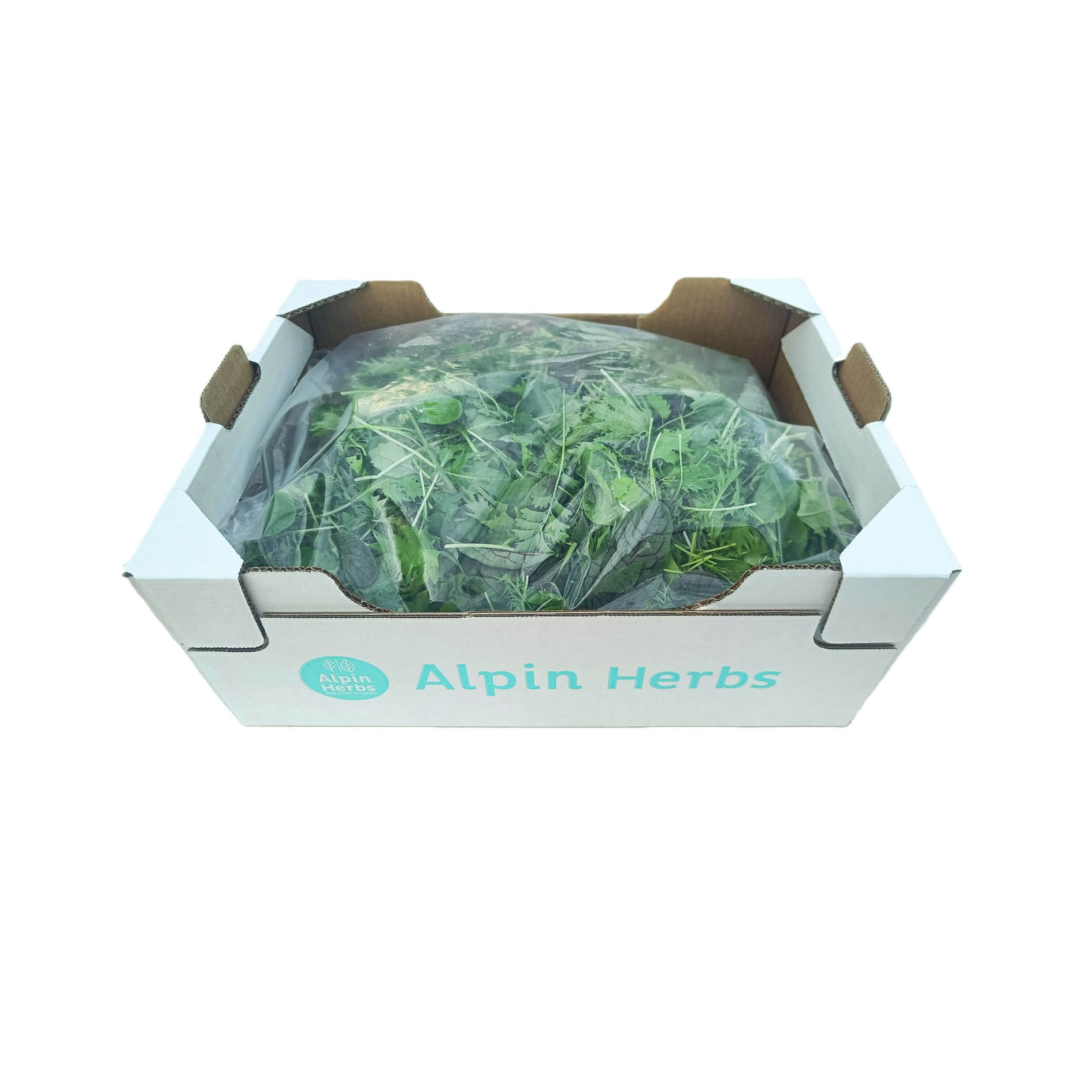 ALPIN HERBS MISTICANZA FOGLIE DI SENAPE SMART 500g