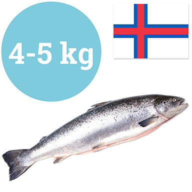 LACHS FARÖER 4-5kg