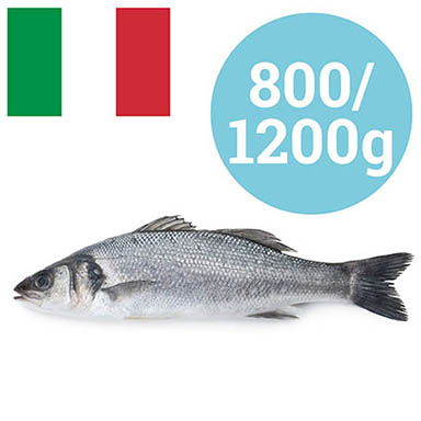 BRANZINO 1-1,5 kg ITALIA ALLEVATO
