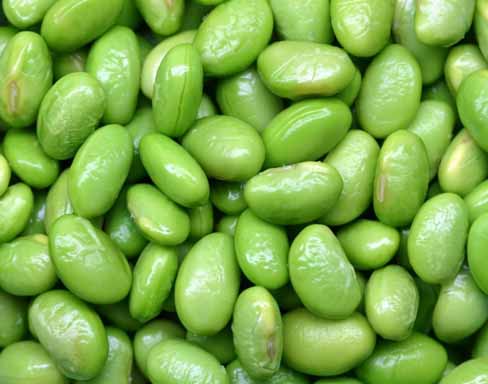 SOJA-BOHNEN EDAMAME GRÜN 1kg GEFR. 'OROGEL'