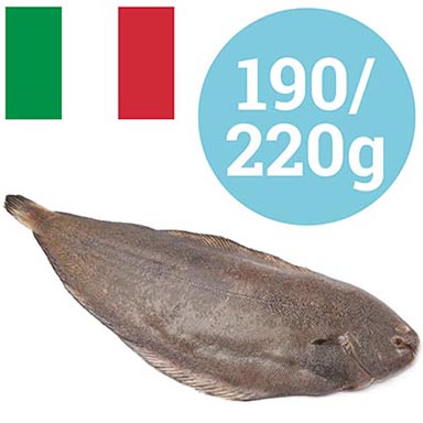 SEEZUNGE 190-220g ITALIEN