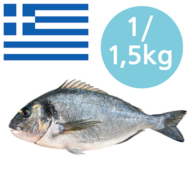 ORATA GRECIA 1-1,5kg ALLEVATA