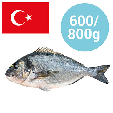 ORATA TURCHIA 600-800g ALLEVATO