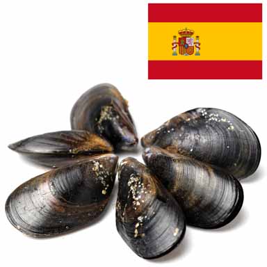 MIESMUSCHELN SPANIEN -AFFINATA ITALIA-