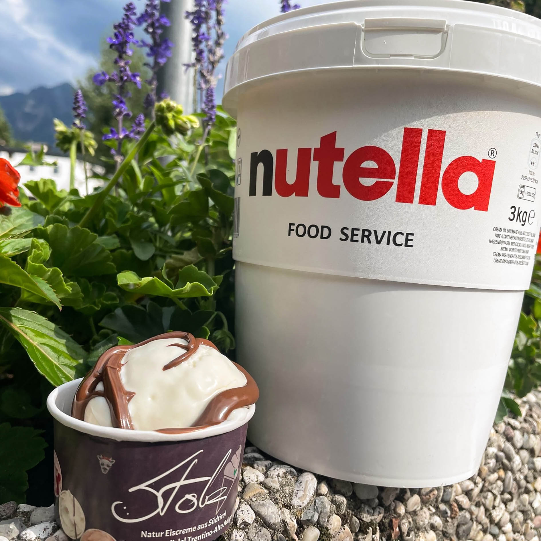 STOLZ EIS 4,2l FIOR DI LATTE + NUTELLA GEFR.